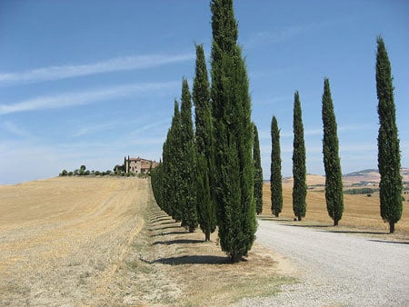 toscane