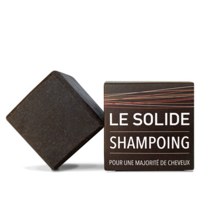 SAVON SHAMPOING SOLIDE / ACTIFS VÉGÉTAUX INDIENS / BIO / 120 gr