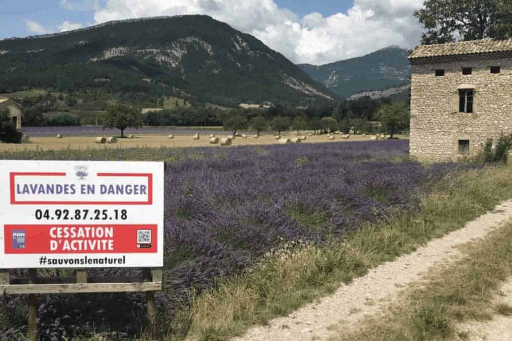 Lavande en danger ! Ce panneau est présent le long des champs de lavande pour dénoncer les effets délétères d'une règlementation européenne sur les produits chimiques.  