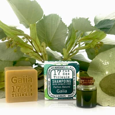 Savon et shampooing bio avec plante verte.