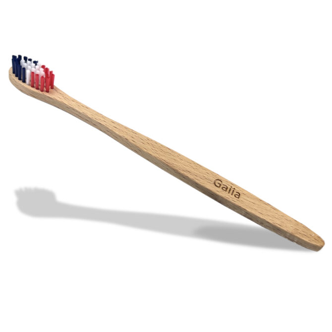 BROSSE A DENTS / BOIS DE CHARME